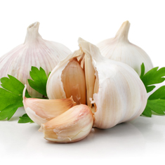 Garlic Garlic