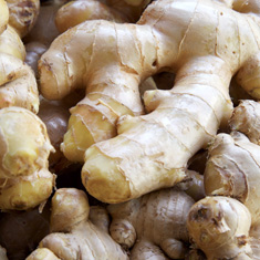 Ginger Ginger